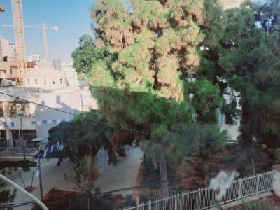 להשכרה יחידת דיור 1 חד בתפארת בנים נתניה