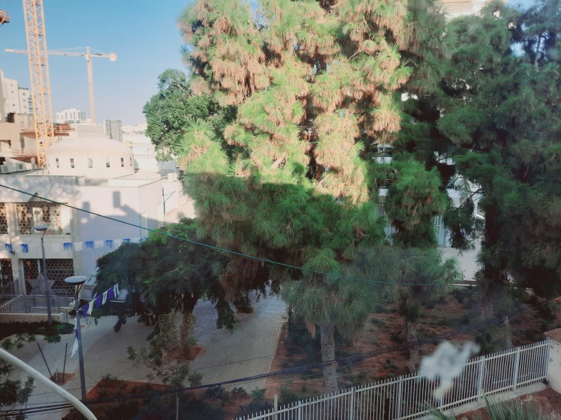 יחידת סטודיו מרוהטת 30 מ"ר | תפארת בנים נתניה | מיקום מרכזי ושקט-5