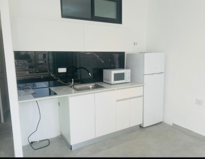 להשכרה דירה 2 חד בדיזנגוף נתניה