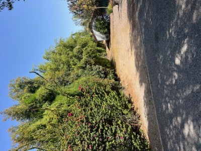 מגרש 2 דונם בהפלמח | עסקת פרמיום | קדימה