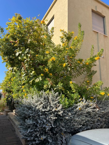 קוטג' 5 חדרים 230 מ"ר עמק חפר | נוף לים | נתניה-11