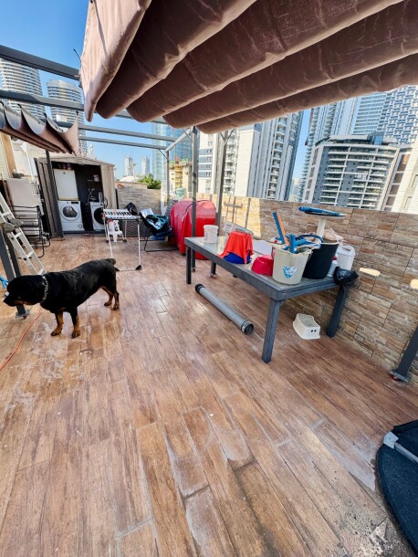 להששכרה מתווך !! רחוב: ערבי נחל-2