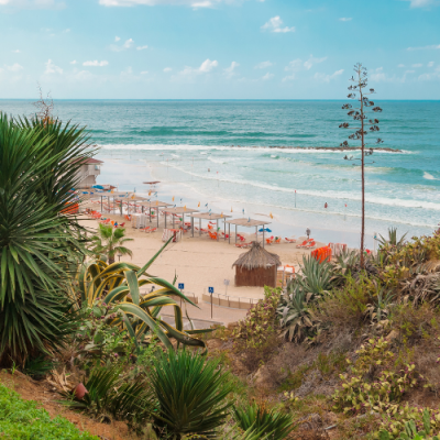 טריפלקס 3 יחידות 250 מ"ר בברוך רם | נוף לים | נתניה